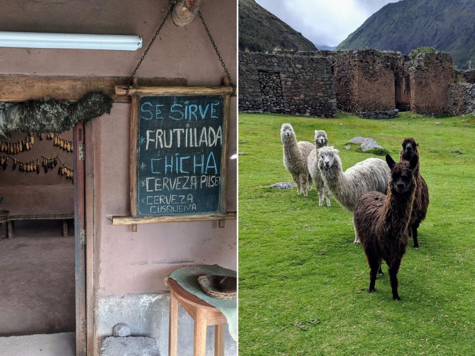 A restaurant in the Sacred Valley (L) and five llamas in the Sacred Valley (R)  Marci Vaughn Kolt 9 mistakes tourists make when visiting Machu Picchu