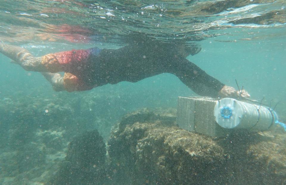 PHOTO: University of Hawaii (UH) student Sean Swift collects an automated water quality sampler from the shoreline, Aug. 4, 2024, in Lahaina, Hawaii. (Mario Tama/Getty Images)