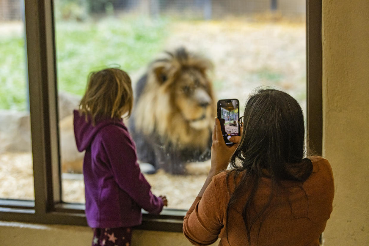 Lust auf Zoo? Dann kaufen Sie sich doch gleich einen! (Symbolbild: Getty)