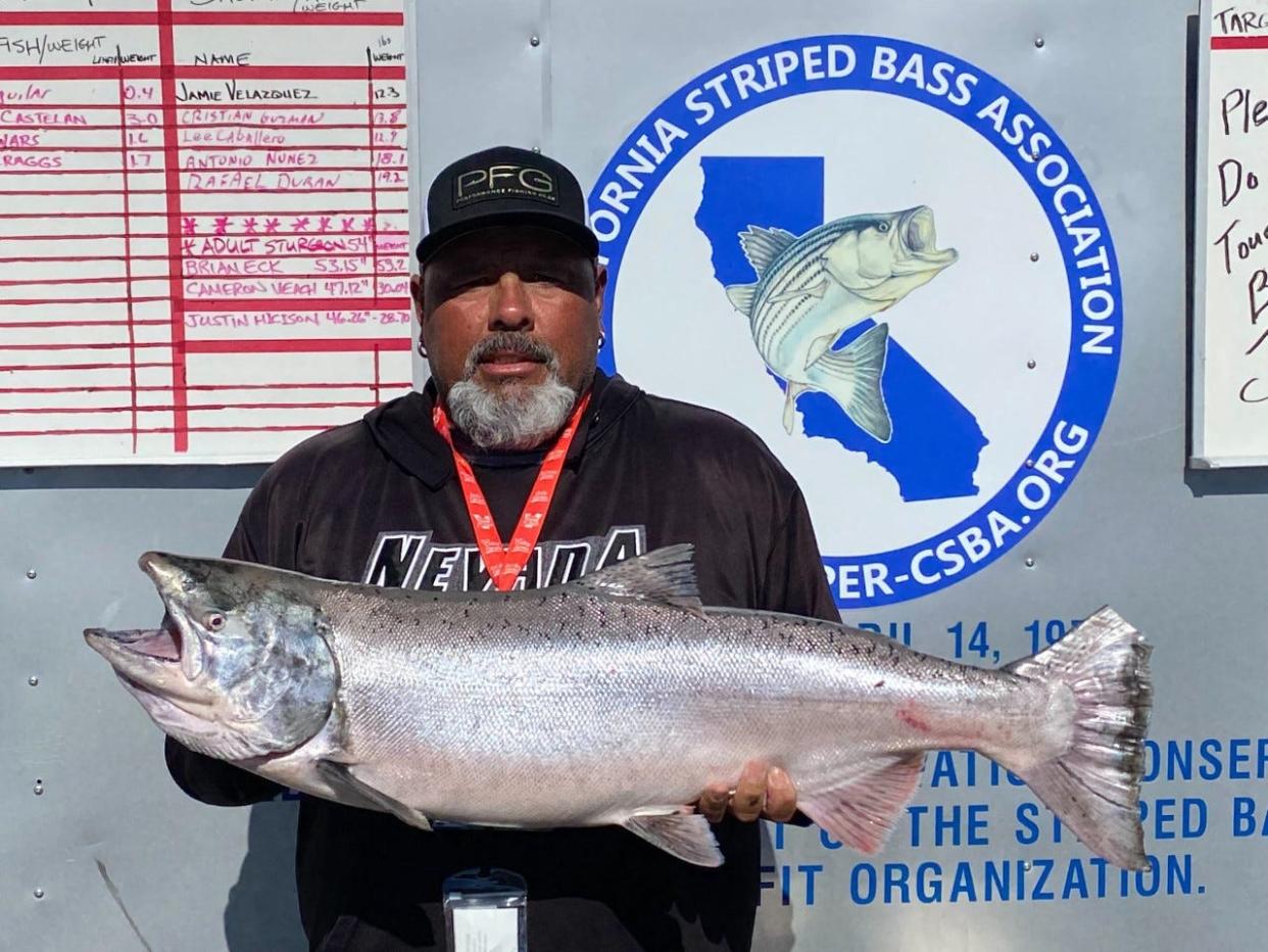 Rafael Duran won first place in the salmon division of the Rio Vista Bass Derby with this 33.41-pound king that he caught on the Sacramento River. Photo courtesy of the Rio Vista Chamber of Commerce.