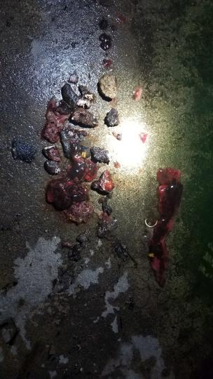 Five inches of blood, fat and biowaste from a Bagley meat locker backed up into a neighboring home from a floor drain.