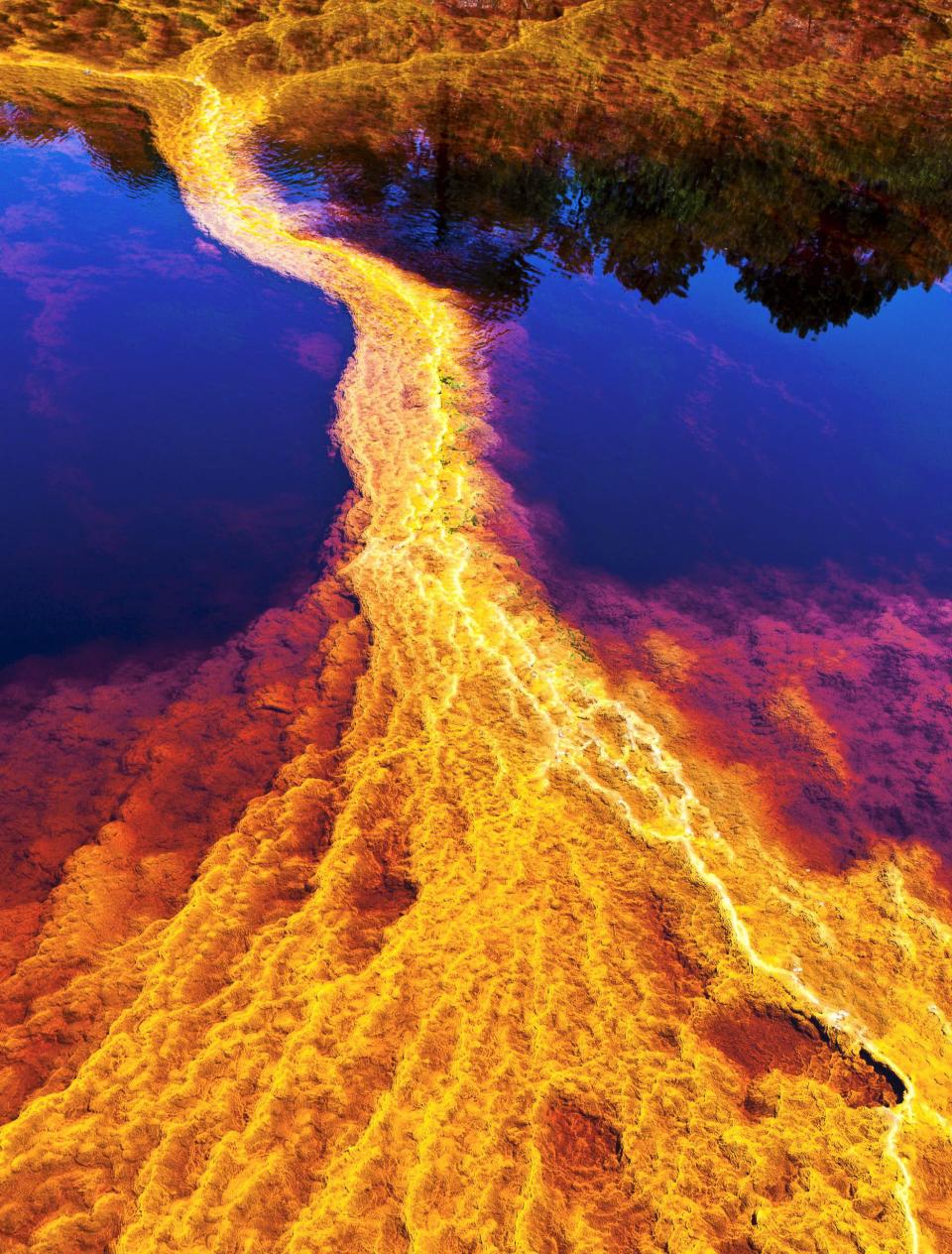 La clave de las fotos está en el ángulo utilizado, el reflejo del cielo y un excelente manejo de la luz, que combinadas con el contaminado fondo del cauce, permiten estas llamativas imágenes.