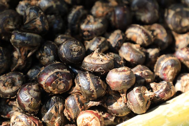 <p>narin_nonthamand / Getty Images</p> Pile of water chestnuts for sale in a market