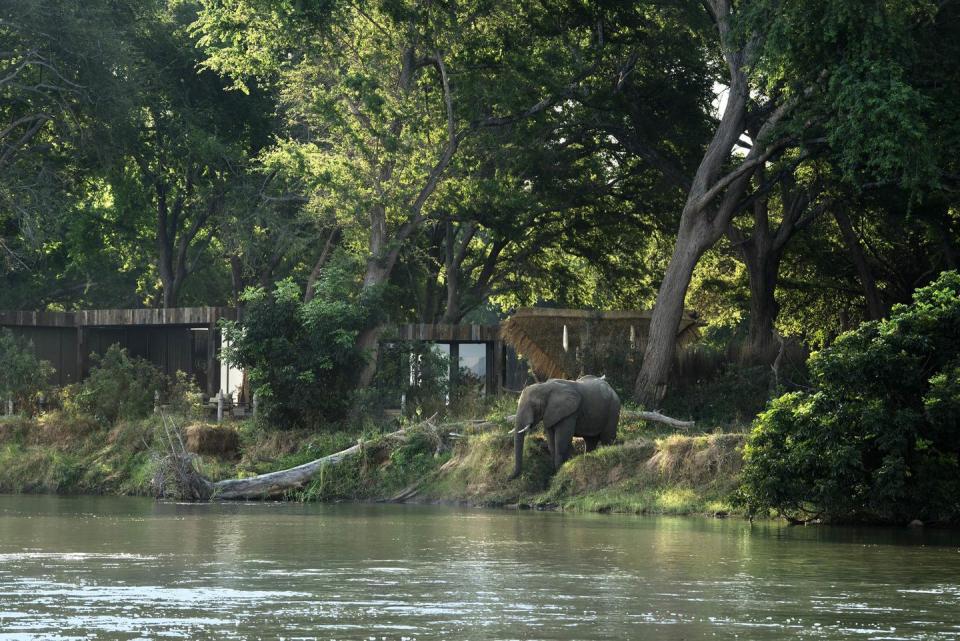 lolobezi lodge along the zambezi river in zambia town and country hotel awards 2023