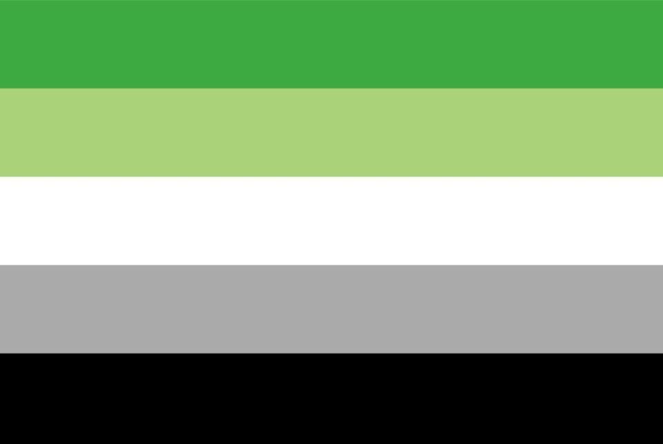 <p>The green in the aromantic flag represents those who do not form romantic attraction, while the gray and black represent all aromantic sexualities. </p>