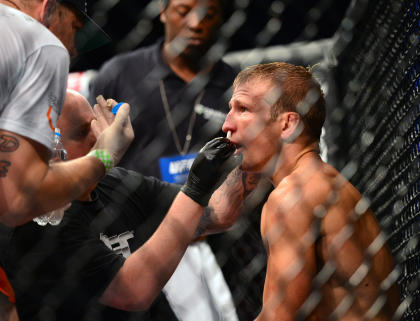 TJ Dillashaw is now the bantamweight division's top guy . (Jason Silva-USA TODAY Sports)