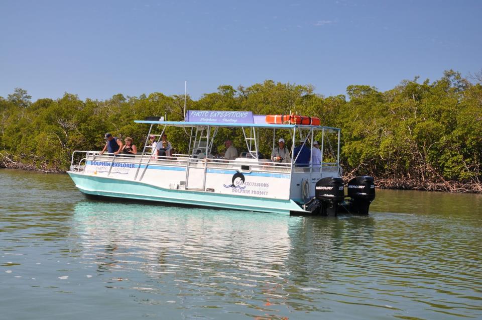 Dolphin Explorer Naples Florida