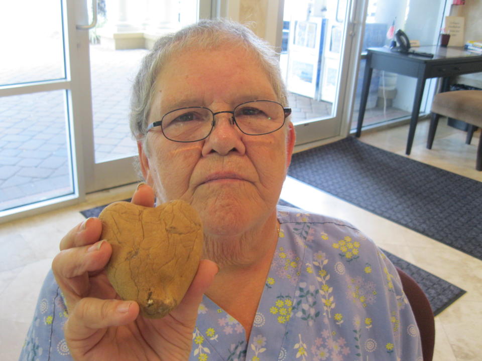 Sally Colburn holds a heart-shaped potato that she found. (Wendy Victora / <a href="http://www.nwfdailynews.com/local/woman-receives-message-from-the-beyond-from-husband-1.184125?page=1" target="_blank">Northwest Florida Daily News</a>)