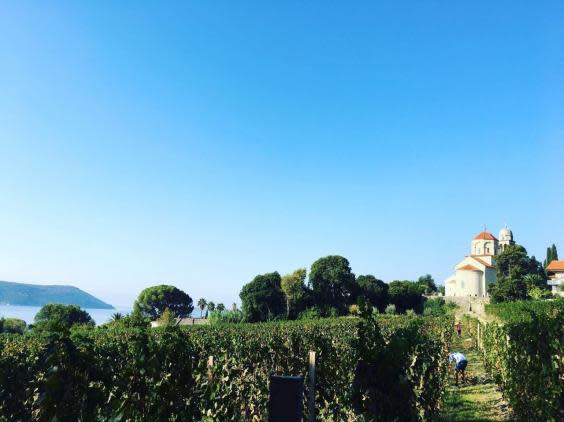 Castel Savina is the only vineyard on Montenegro’s coast (Castel Savina)