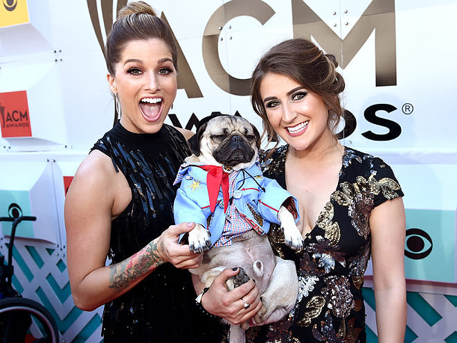 4 Very Important Things Doug the Pug Did on the ACMs Red Carpet