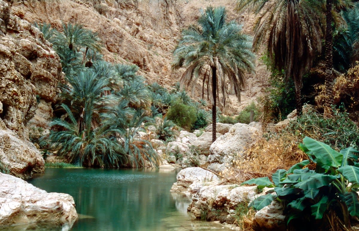 Wadi Shab is one of the most famous Wadis in the country (Getty Images/iStockphoto)