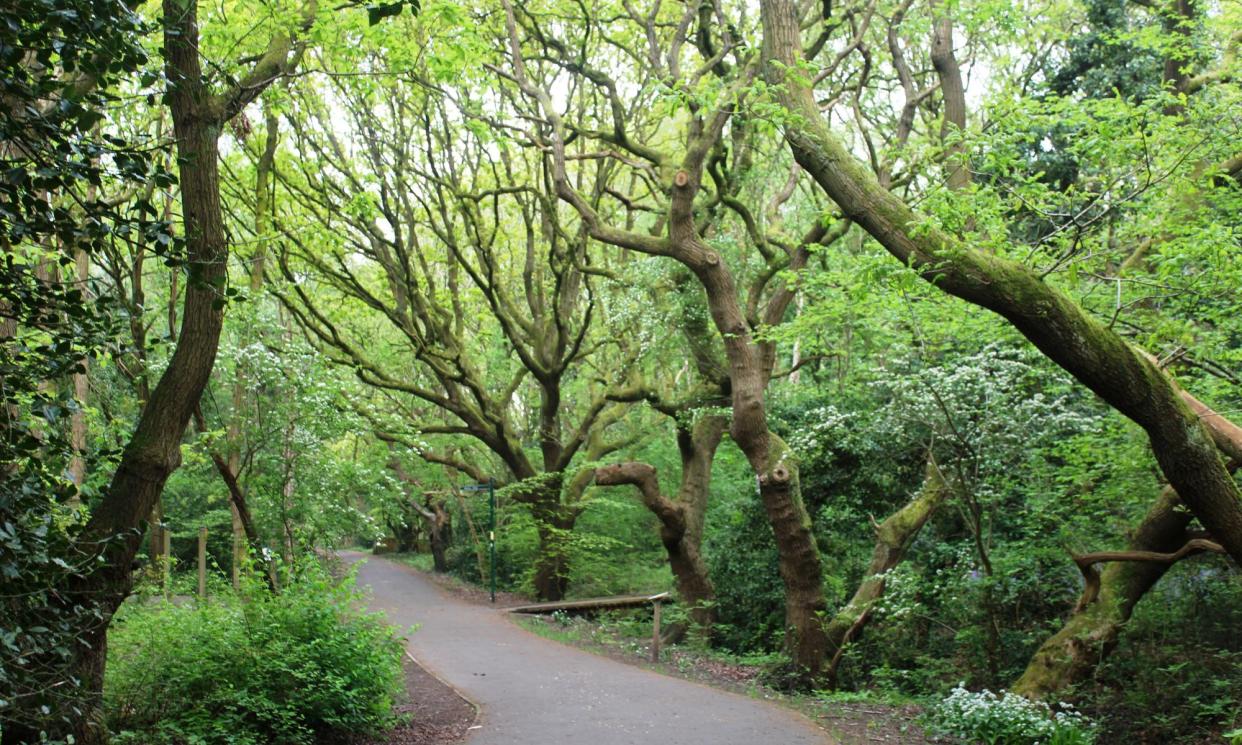 <span>‘Soft, subtle scents of wild garlic, bluebells and hawthorn blossom are the essence of spring here.’</span><span>Photograph: Jennifer Jones</span>