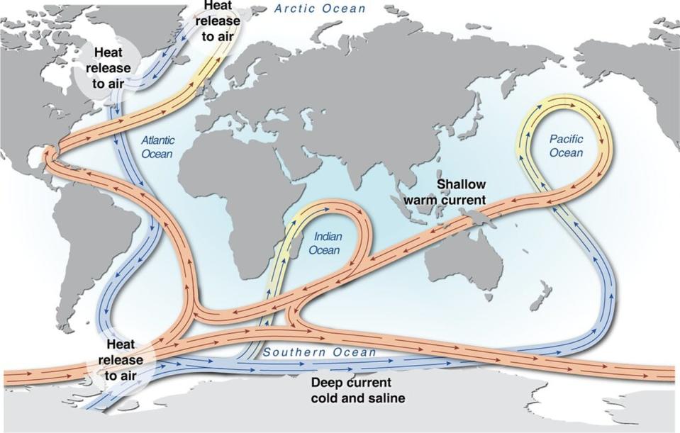 Thermohaline circulation map