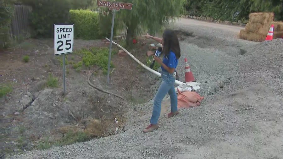 Two signs that had completely shifted off the roadway due to an ongoing landslide in Ranchos Palos Verdes. (July 29, 2024)