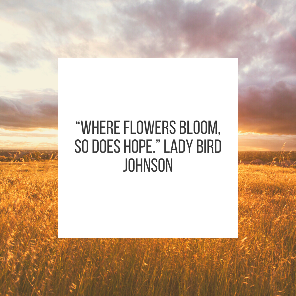 “Where flowers bloom, so does hope.” Lady Bird Johnson