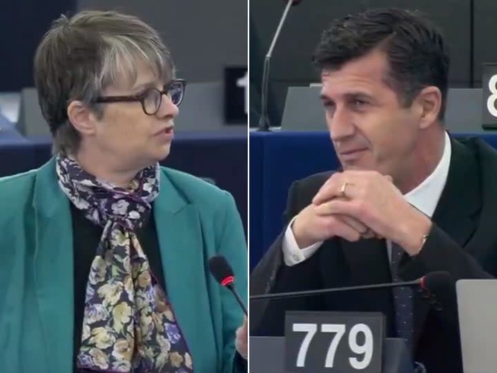 Mollie Scott Cato and Richard Rowland: European Parliament