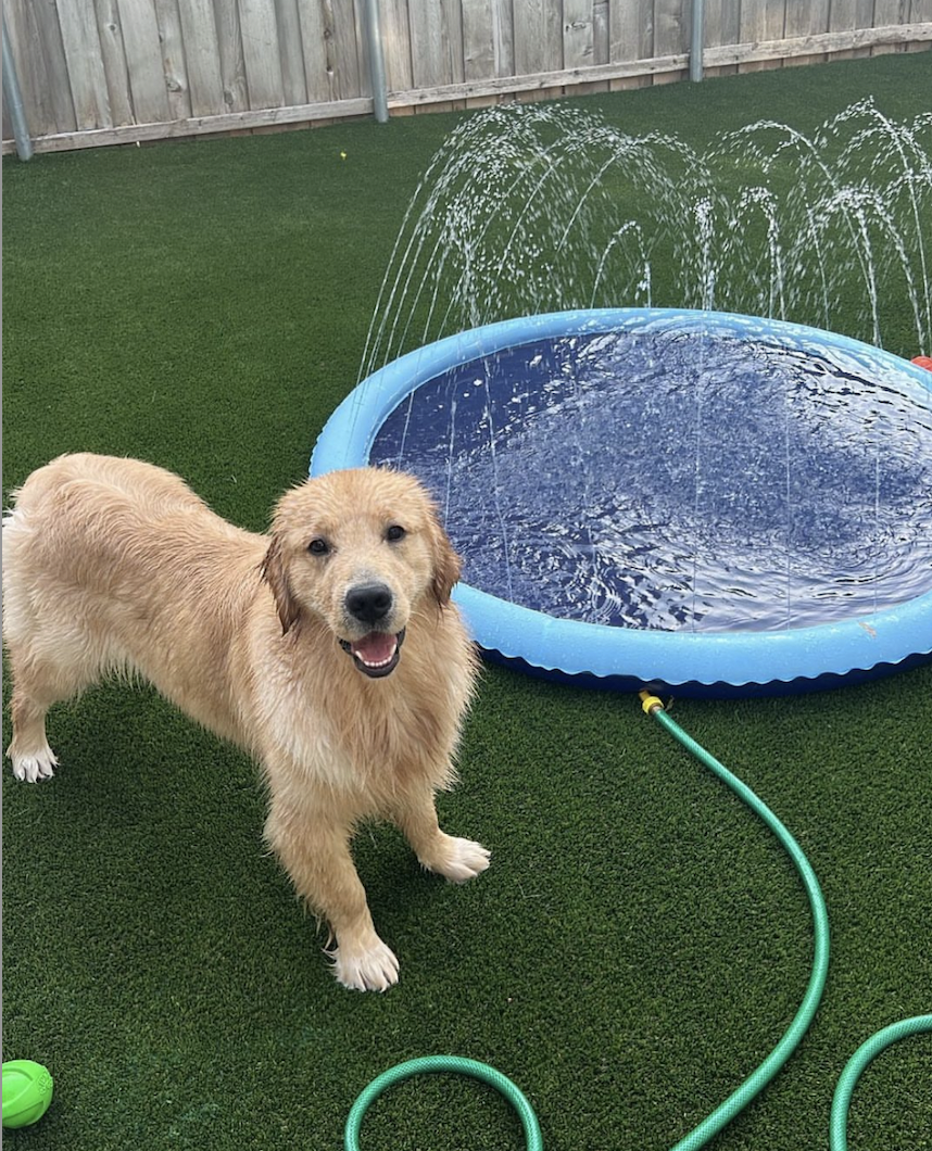 alex drummond splash pad for george