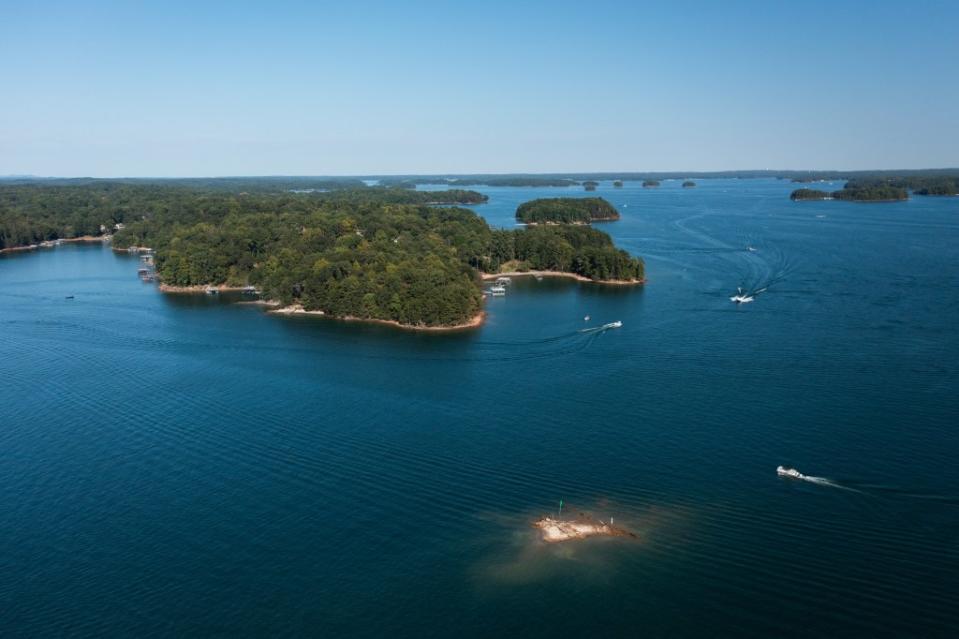 Lake Lanier (pictured) is one of several lakes that the critters have invaded. Rajesh – stock.adobe.com