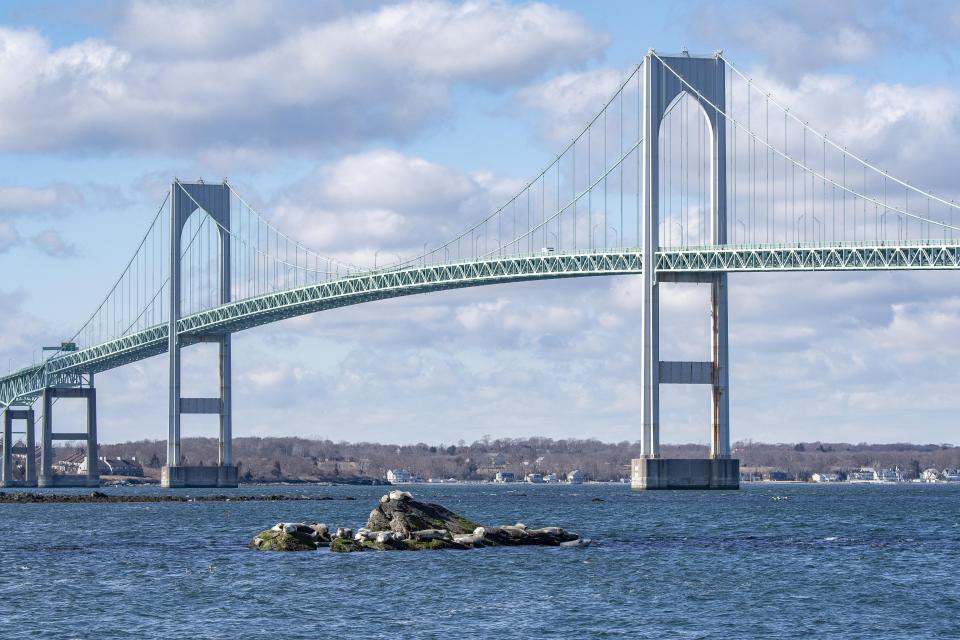 Harbors seals soak up the sun on Citing Rock off Rose Island during a Newport Winter Festival Seal Watching Tour with Save the Bay in 2020.