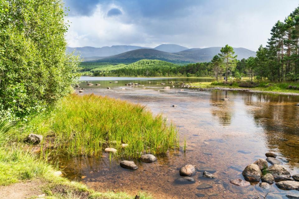 Cairngorm - getty