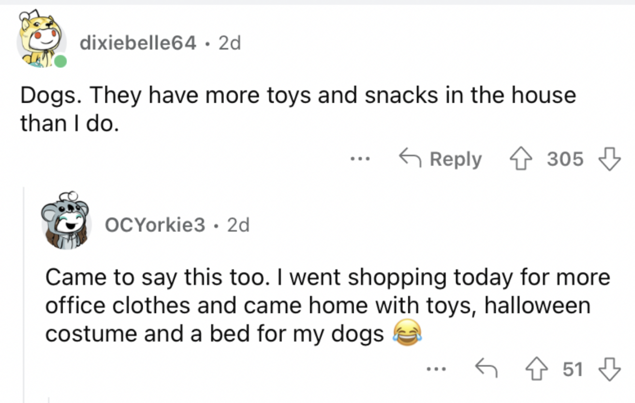 Reddit screenshot about someone talking about spending tons of money on their dogs' products.