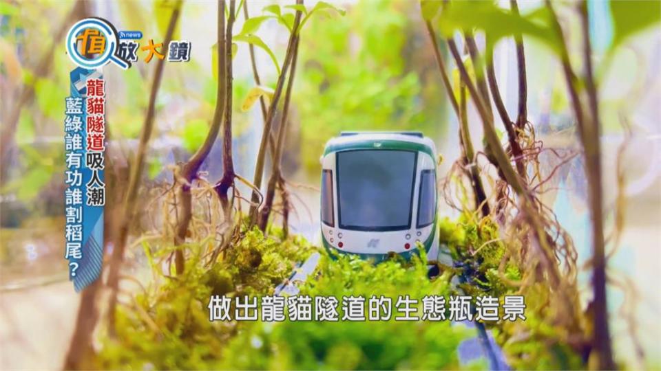 輕軌「龍貓隧道」吸引人潮　藍綠誰有功？誰割稻尾？