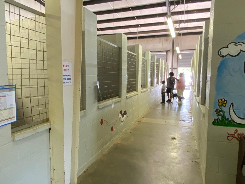 The Jackson Animal Care Center is running out of room quickly--here, in their non-air conditioned dog area, dogs and caretakers alike are desperate for adoptions to take place to free up space for new rescues.