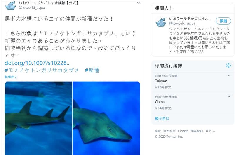 水族館向大家發布這個驚喜消息。（圖／翻攝自@ioworld_aqua推特）