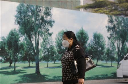 A woman wearing a face mask walks past a poster outside a construction site on a hazy day in central Beijing October 22, 2013. REUTERS/Jason Lee