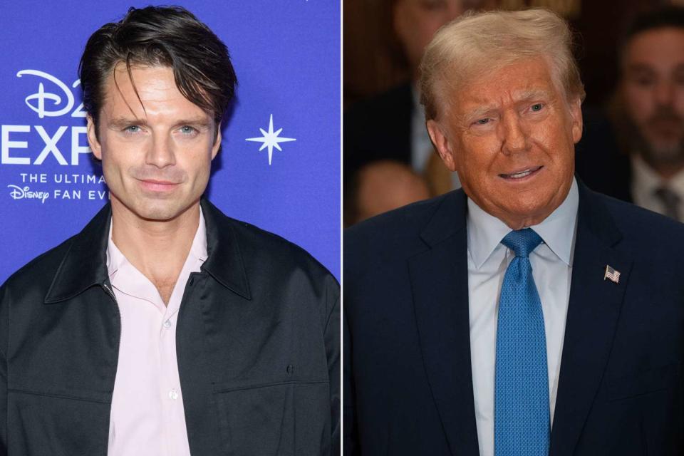 <p>Walt Disney Company via Getty,  David Dee Delgado/Getty</p> Sebastian Stan and Donald Trump