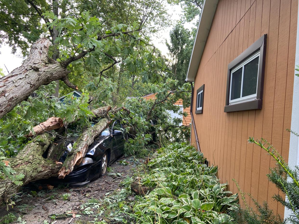 A car is crushed under a large tree damaged during Tuesday's storm on Harvey Street on Wednesday, Aug. 28, 2024, in Haslett.