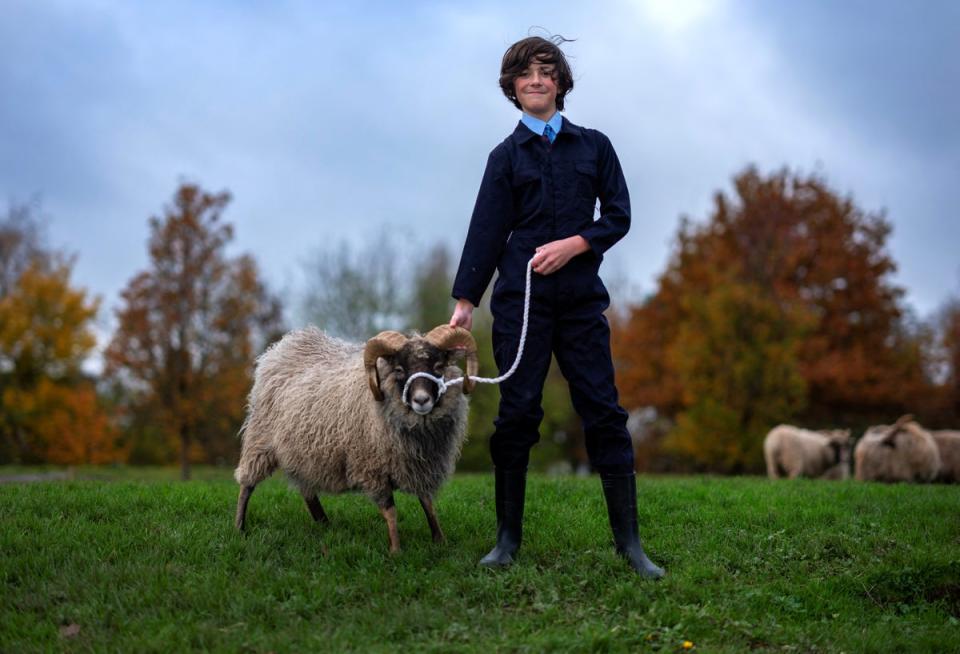 Corey poses with one of the school’s North Ronaldsay rams, called Kevin (Reuters)