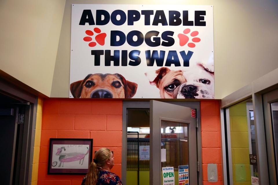 The sign says it all as Jacksonville Animal Care and Protective Services Division Chief Jen Walter walks into a kennel on Aug 18. The shelter is currently experiencing overcrowding.