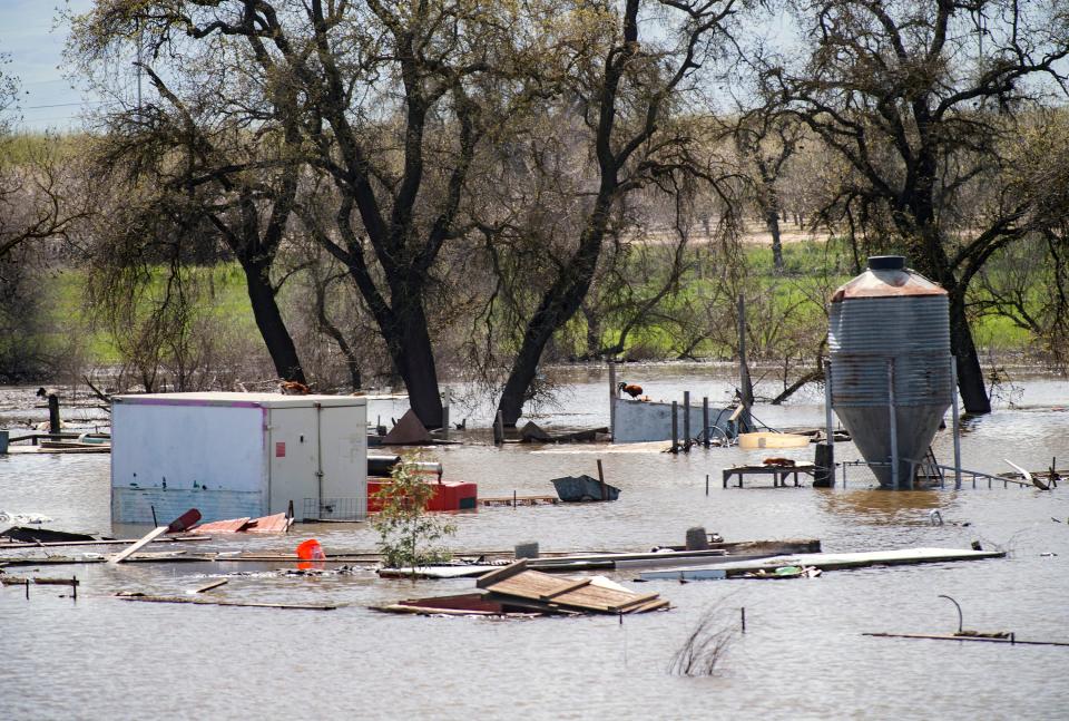 The water level on the San Joaquin River near Vernalis in south San Joaquin County is at flood stage on Friday, Mar. 17, 2023. The rivers is expected to reach danger stage by Saturday.