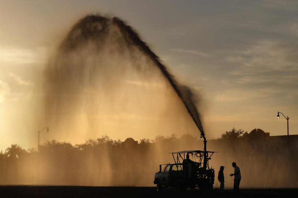 En esta imagen, tomada el 28 de octubre de 2019, una máquina riega una granja en Florida City, Florida, justo al este de la entrada principal al Parque Nacional Everglades. Los primeros colonos drenaron gran parte del ecosistema para habilitar zonas agrícolas. (AP Foto/Robert F. Bukaty)