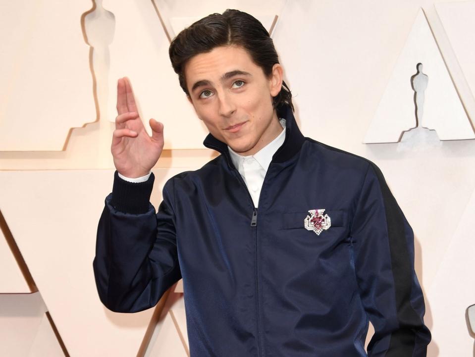 Timothée Chalamet Oscars 2020