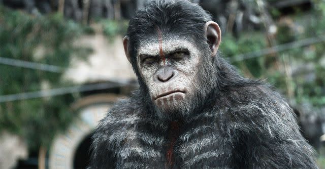 Everett Collection Caesar (Andy Serkis) in 'Dawn of the Planet of the Apes'