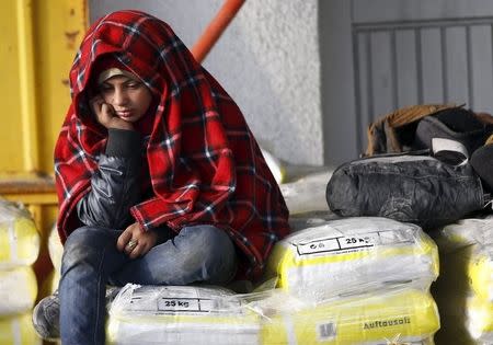 A migrant boy waits to enter a makeshift camp at the Austrian Slovenian border near the village of Sentilj, Slovenia, October 26, 2015. REUTERS/Leonhard Foeger