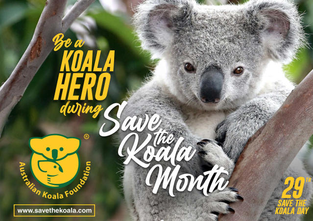 Online Koala Toy Stores Promised They Would Donate Some Proceeds To  Charity. Did They?