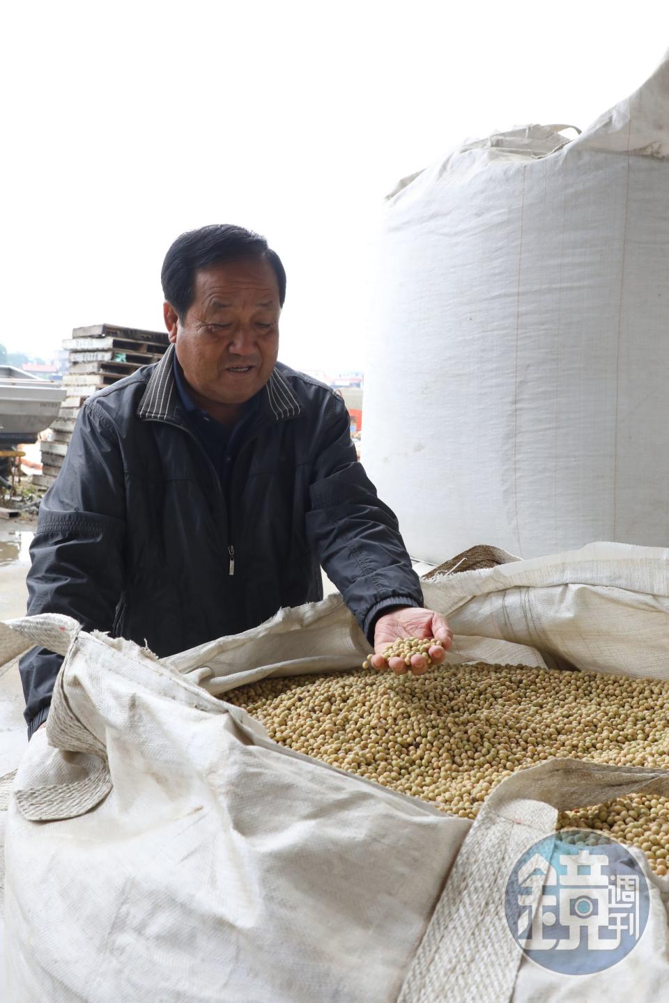 豆油伯近年不斷精進「單方豆」釀造醬油的工藝。