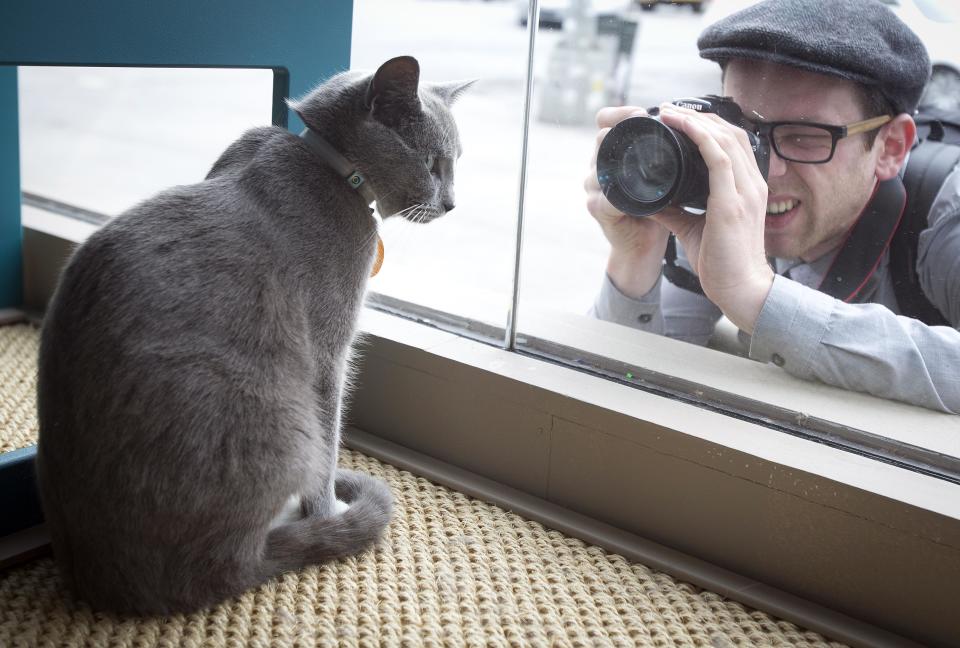 A man takes a photo of a cat as it sits at the window of the cat cafe in New York
