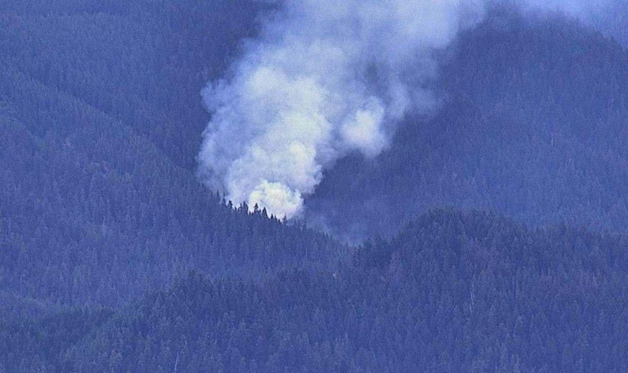 A vegetation fire is visible north of Blue River on the Deathball Mountain fire camera operated by the Oregon Hazards Lab at the University of Oregon.