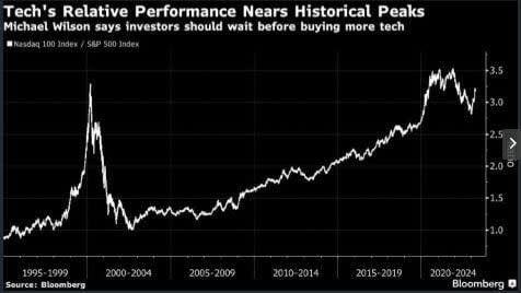 Morgan Stanley: "El rebote de las acciones tecnológicas de Wall Street es exagerado"