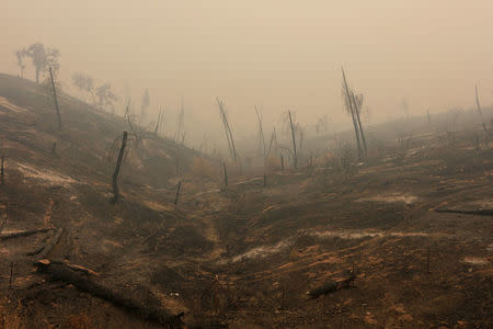 Hills are bare after being burned in the Carr Fire near Igo, California, U.S. July 29, 2018. REUTERS/Bob Strong