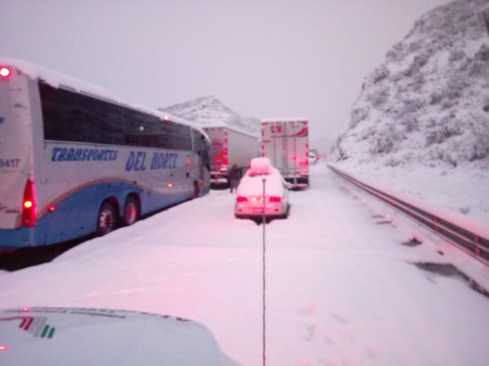 FOTOS: Así han sido las nevadas en el norte de México