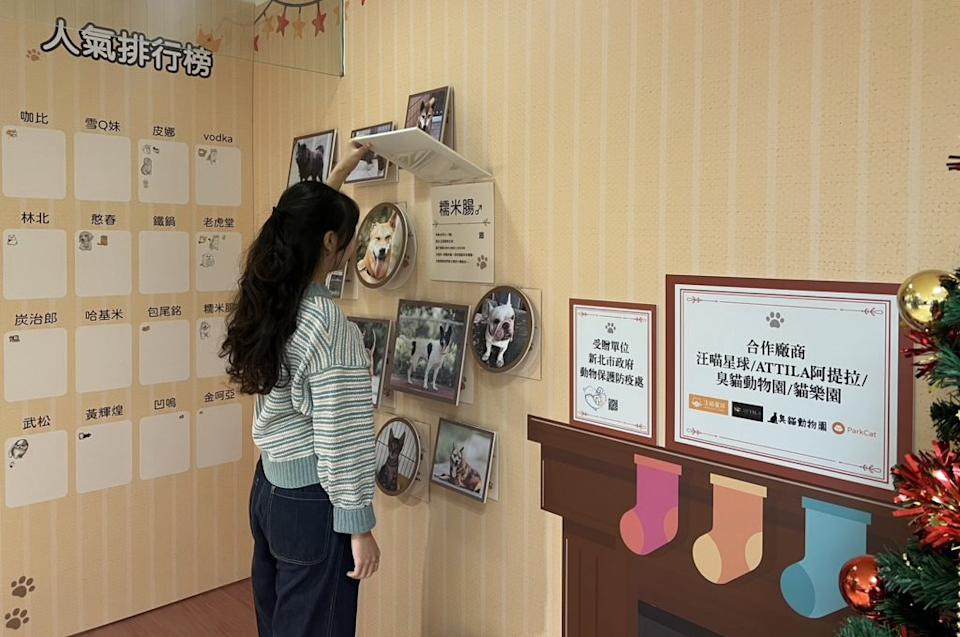 新光三越百貨台北站前店十二樓展示新北動物之家毛寶貝的可愛樣貌，新光會員可翻看毛寶貝資料參加人氣應援活動。 （新北動保處提供）
