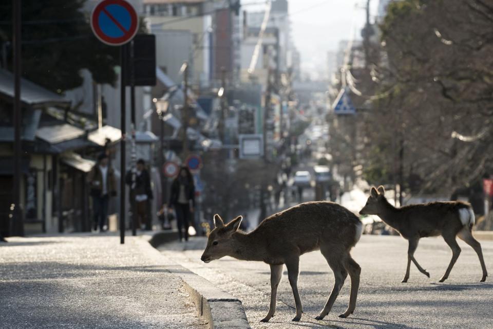 Photo credit: Tomohiro Ohsumi - Getty Images