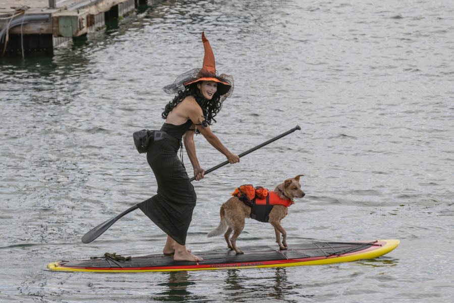 A paddleboarder dressed as a witch paddles in Morro Bay with her dog riding along.