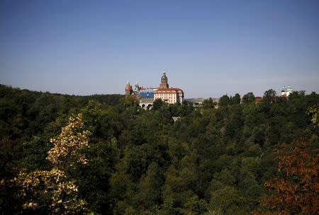 Ksiaz Castle is pictured in an area where a Nazi train is believed to be, in Walbrzych, southwestern Poland, August 31, 2015. REUTERS/Kacper Pempel