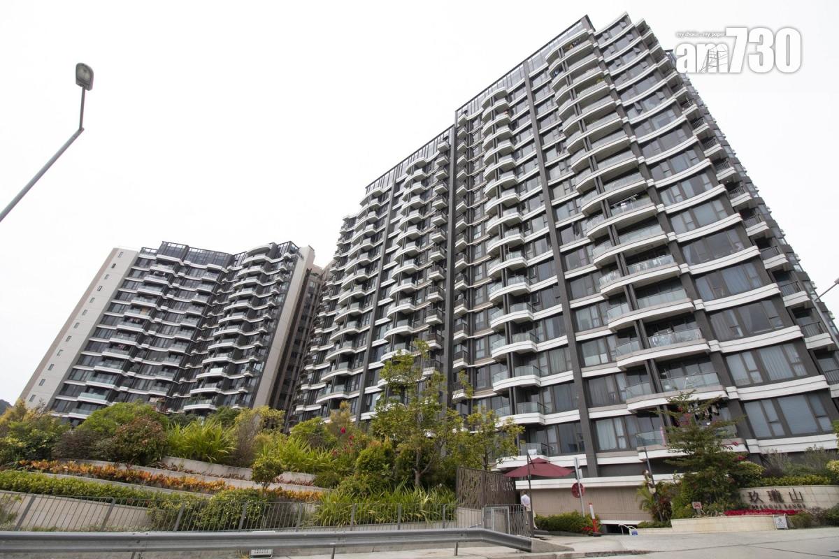 New Territories Housing Estates Suffering 10% Second-Hand Sales Loss in 2020